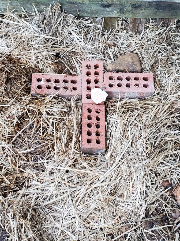 A simple cross made of red bricks laid on a bed of straw, marking the burial place of Lamby the cat. A pale pink rose rests gently at the center.