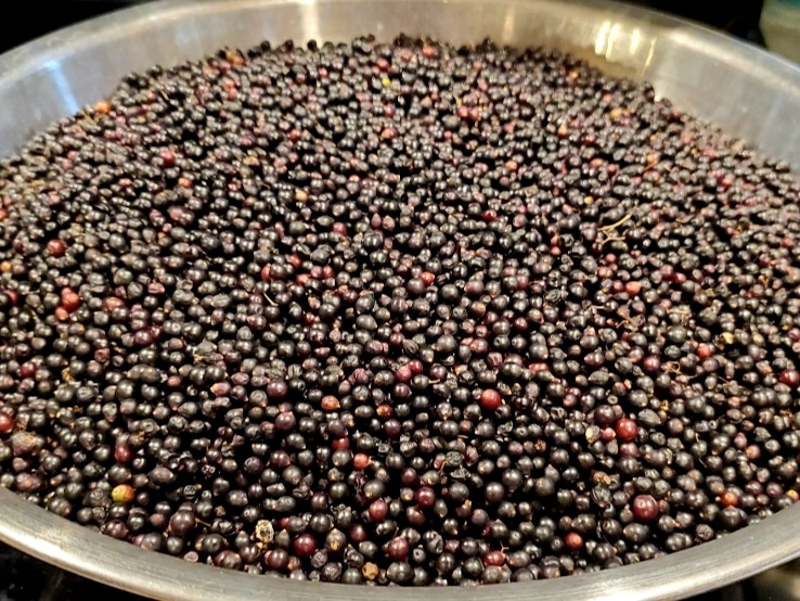 Bowl full of dried elderberries